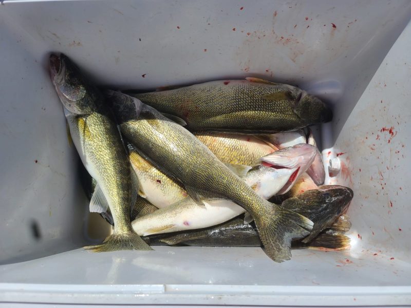 20210617_144313-scaled