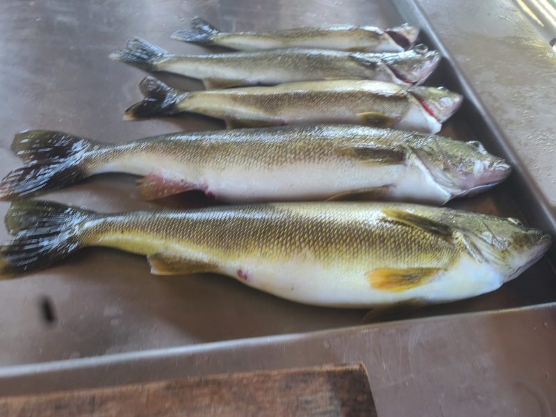 20210814_133157-scaled