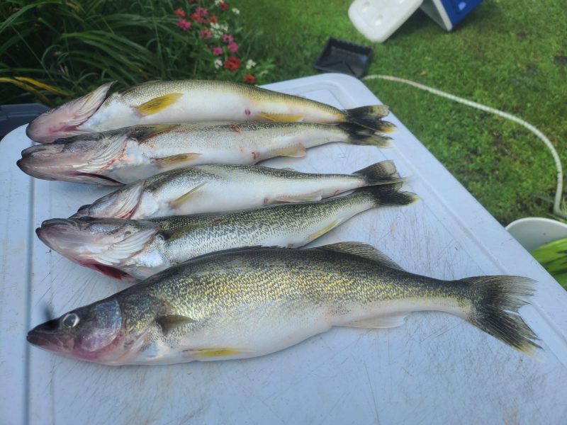 20210824_153556-scaled